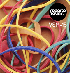 vswm15 vswm15